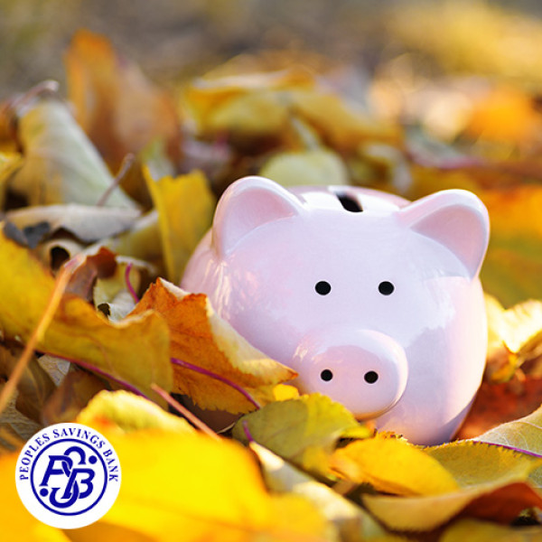 Fall Into Savings: What Is a Money Market Account?